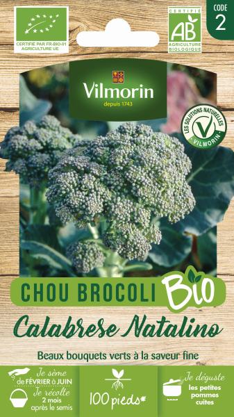 Potagères - Chou Brocoli Calabrese Natalino - BIO - face recto
